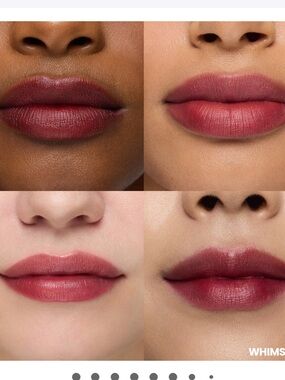 Wonderskin whimsical wonder bleeding all day lip stain